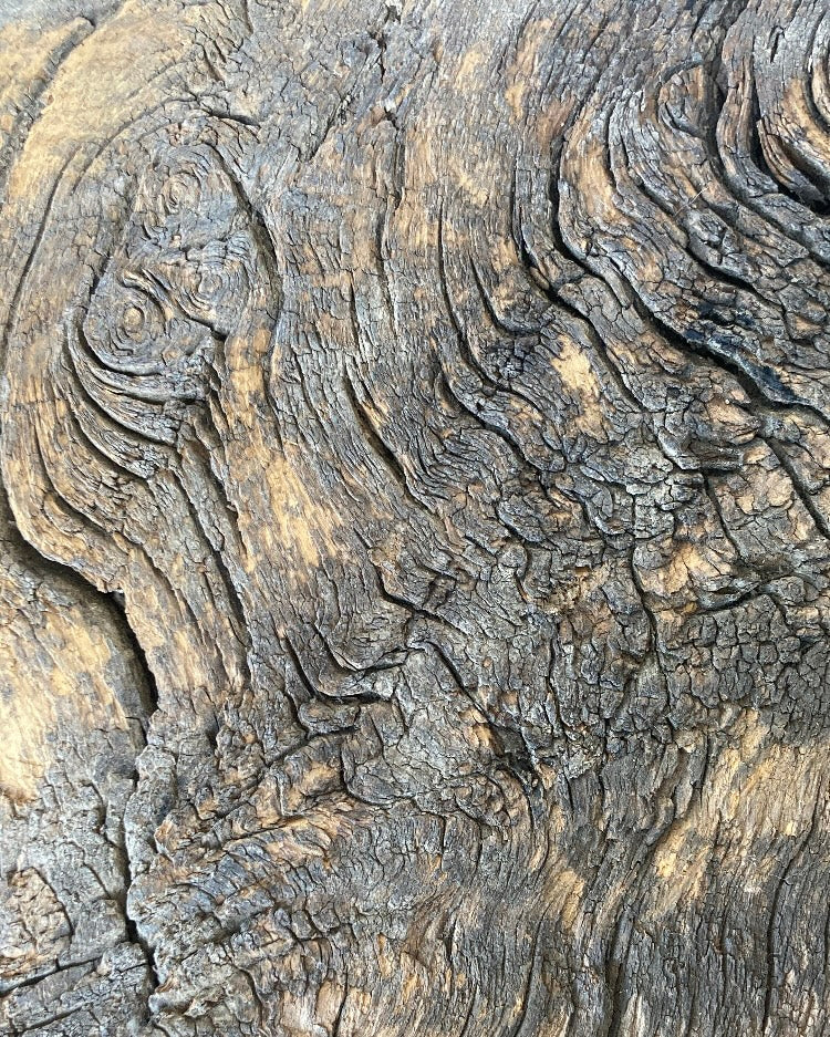 Houten salontafel ruw boomstamblad